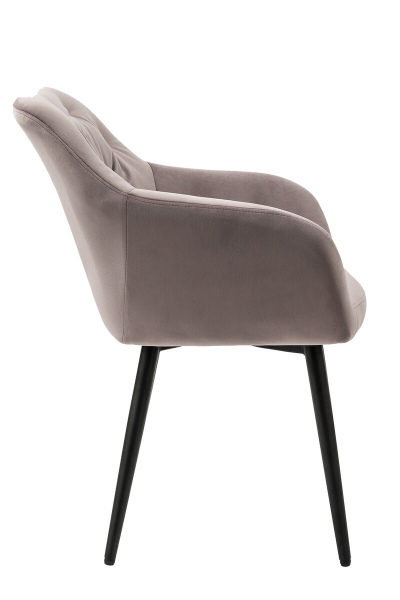 SalesFever Armlehnstuhl rose Samt, 100% Polyester, mit Knopfheftung, Stuhlbeine aus pulverbeschichtetem schwarzem Metall