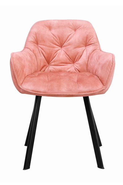 SalesFever Esszimmerstuhl 2er Set Vintage-Samtvelours Rose, Knopfheftung, Beine Metall Schwarz pulverbeschichtet