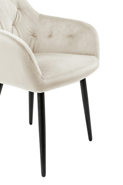 SalesFever Armlehnstuhl Creme Samt, 100% Polyester, mit Knopfheftung, Stuhlbeine aus pulverbeschichtetem schwarzem Metall