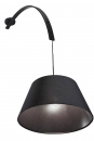 SalesFever Hängeleuchte 45 x 125 cm schwarz #, 1-flammig, monochrome Optik, angeschrägte Bogenform